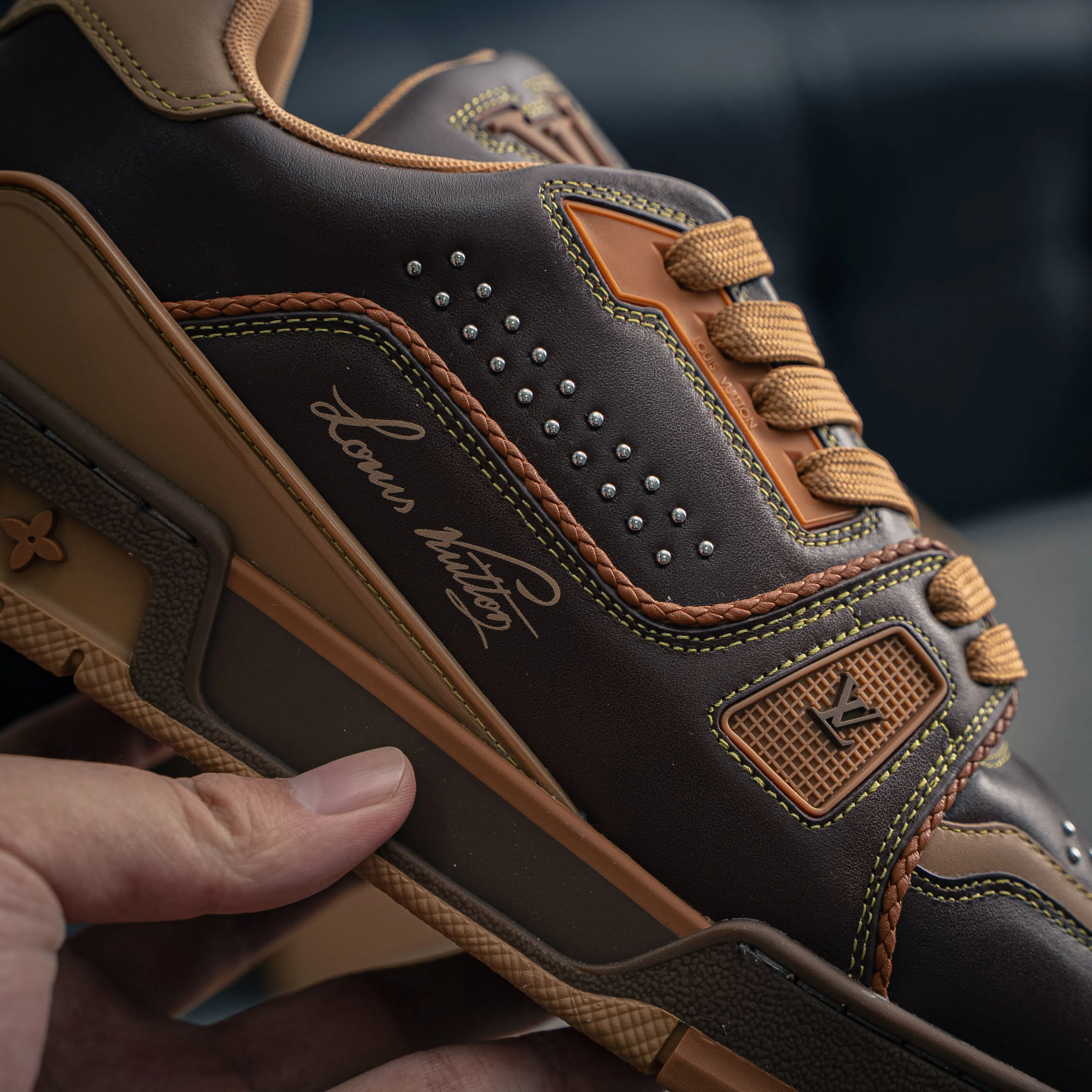 Louis Vuitton Trainer lv Sneakers Shoes Shoes
